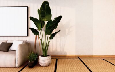 Best Fire Extinguisher For Your Home Use