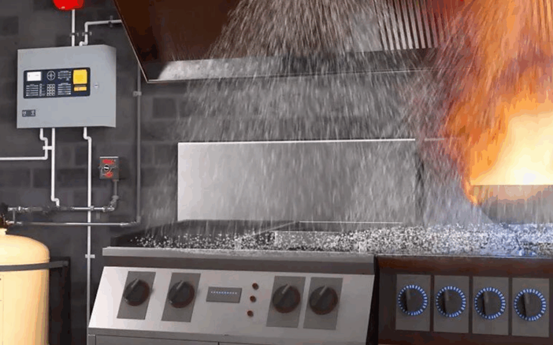 A wet chemical suppression system