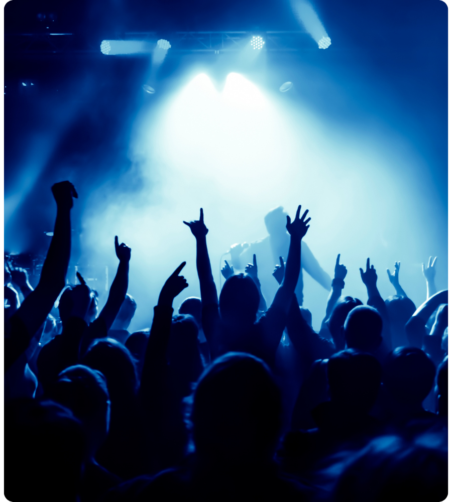 Crowd at a live concert representing a Tier 2 venue under Martyn’s Law security regulations.